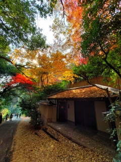 ̂ˁA\ł͕ĂǁAs󂢂Ă🙌