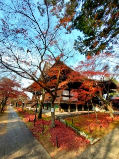 ܂͔rICoEhȂƌĂ^Ɋy (^@)֗Ă݂B