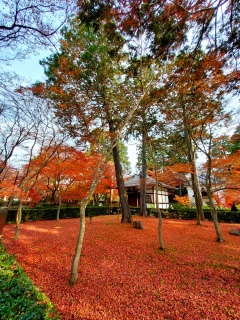 tσXJXJǐԂ📷😆