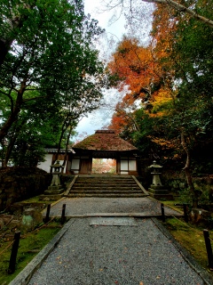 ^@ł^NV[̎҂ĂĂ🤣