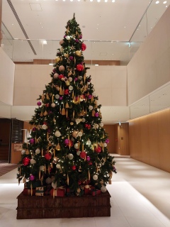 nCAbg[WFV[̃NX}Xc[🎄