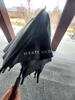 `I琦J~ėăzeŎP؂肵܂B