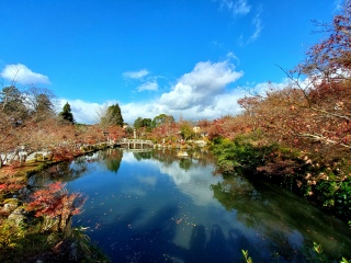 ߑO͂ȂɗǂVĈɁAJȂ~😖