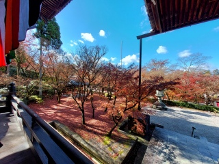 iϓtϗĂāAȊ🍁🍂