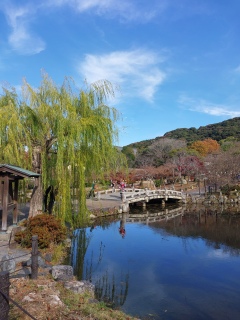 �˂˂̓�����~�R������