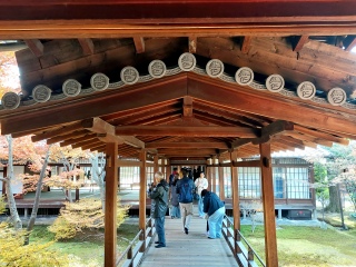 ze̊ٓēerő嗁̓ƂĂڂĒĂA