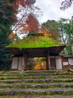 @R@fGȏB񏉂߂čsėǂB