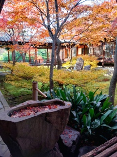 �܂�����y�j���B12���͉����ƖZ�����̒��Ǘ��������肵�Ȃ���