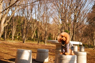 �k�̊ی�����Fran����ł��͂�💛