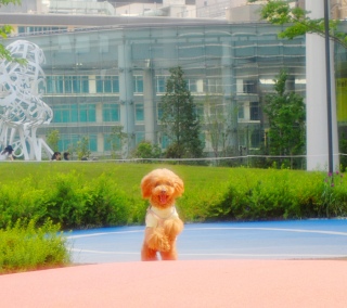 �Ճm��q���Y�ŃJ�b���ł�Fran����ł��͂�💛