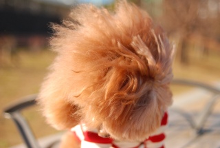 ���ɂȂт�Fran����̃w�A�[�ł��͂�💛