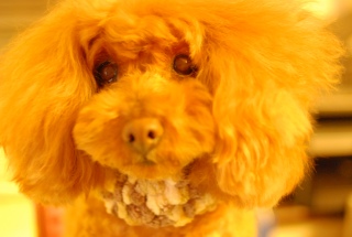 ����Ɓ`��Ȃe����������ł��͂�💓