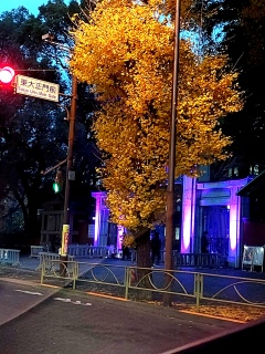 ������ă��C�e�B���O�A�p�[�v���Ȃ́H���߂Ēm�����B