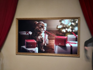 �x�r�[�p���e�[��������❤