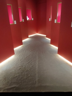 �����N���X�}�X�c���[�ɂȂ��Ă�