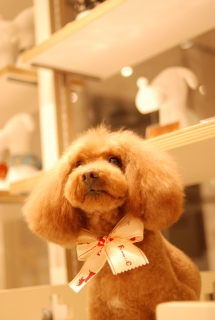 �g���~���O�A�t�^�[��Fran����ł��͂�💓