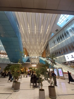 T-MARKET�����`