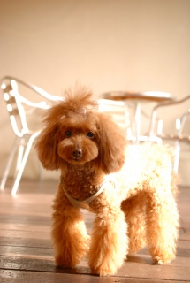 ������Ɩ���������Fran����ł��͂�💓