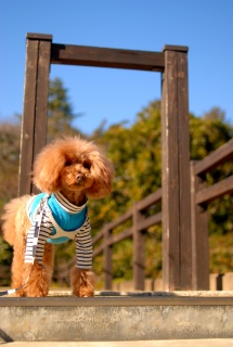 �k�̊ی����̋C�ۑ�ł�Fran����ł��͂�💓