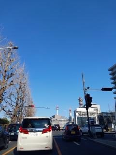 ���z�\�Ԃ܂ő���ɍs���A�����y�R�ł��B