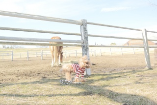 ���n�����Fran����ł��͂�💓