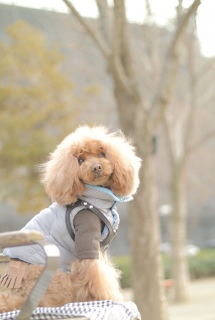 �����ς�������ł���Fran����ł��͂�💓