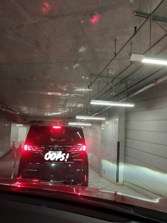 ����ƒ��ԏ���N���N�n�̍��G����������ꂽ