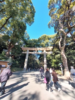 �����_�{������