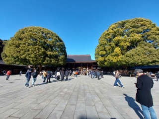 ���F��I���āA���ԋt�����ǁA���Q���