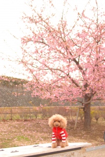 �͒Í���Fran����ł��͂�💓