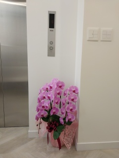 �J�n�p���Ă���Ƃ������e���A�S������V�������X�I�[�v���ł��B