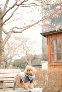 �����s�������ł�Fran����ł��͂�💓