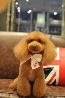 �g���~���O�A�t�^�[��Fran����ł��͂�💓