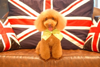 �g���~���O�A�t�^�[��Fran����ł��͂�💓