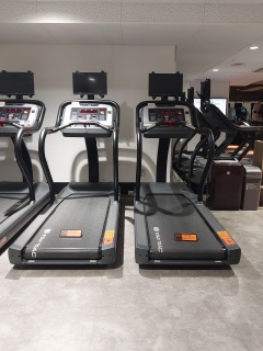 2026�N�͏����W���撣�낤���ȁH�ƁA