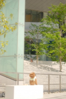 �Ճm��q���Y�ł�Fran����ł��͂�💓