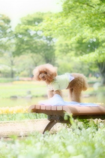 ���a�L�O�����ł�Fran����ł��͂�💓