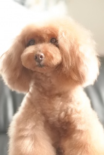 ����Ƃ�`��Fran����ł��͂�💓