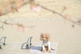 �͒Í���Fran����💓