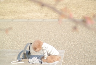 ������ƍl�����񂶂���Ă�Fran����ł��͂�💓