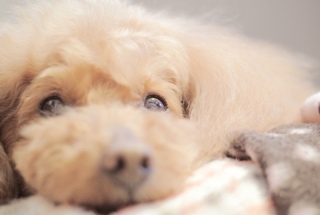 �܂�����`��Fran����ł��͂�💓