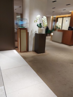 �c�O�Ȃ�����ׂ͖�������