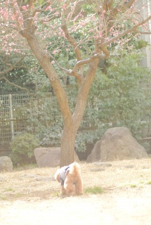 ���p������Fran����ł��͂�💓