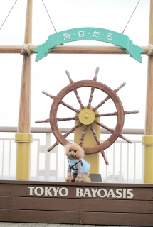 �A�N�A���C���ł�Fran����ł��͂�💓