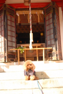 �������p�̂e����������ł��͂�💓