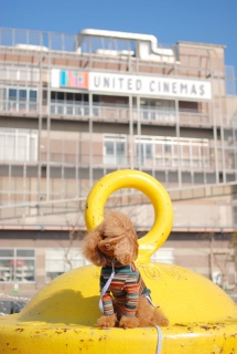 �L�F�ł�Fran����ł��͂�💓