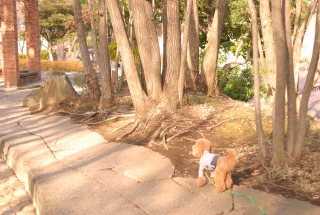 �n�������ł�Fran����ł��͂�💓