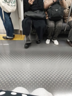 �A������ꂽ�̂˂�😄