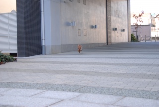 ���ł�Fran����ł��͂�💓