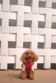 �㊯�R�ł�Fran����ł��͂�💓